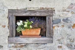 08-17 - die Liebe zum Kleinod 